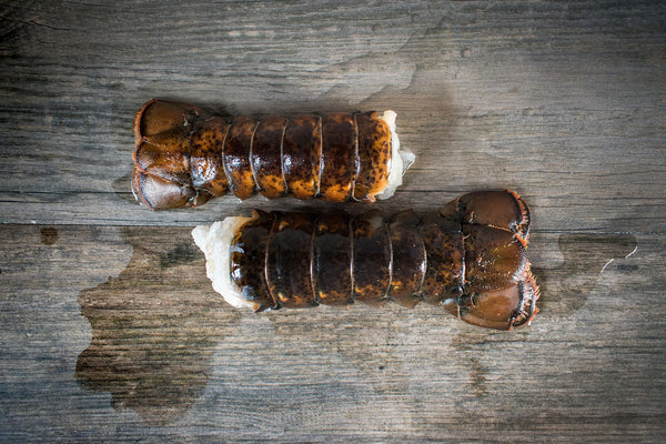 Fresh/Flash frozen Florida Lobster Tails | 9oz tail