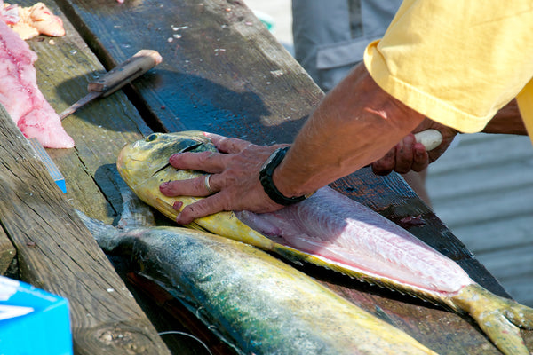 Fresh Gulf Mahi | 1lb