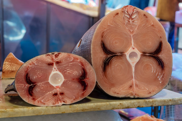 Fresh Gulf Swordfish | 1lb